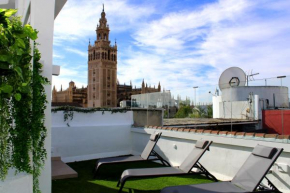 Terraza Catedral Olehousing